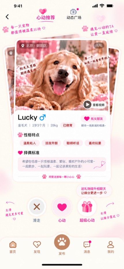 虫虫Love 宠物档案